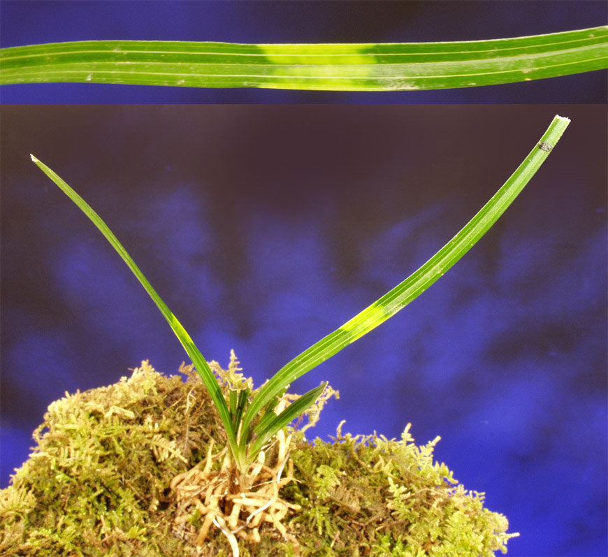 ������ ū������ �� �� �ֽ��ϴ�.