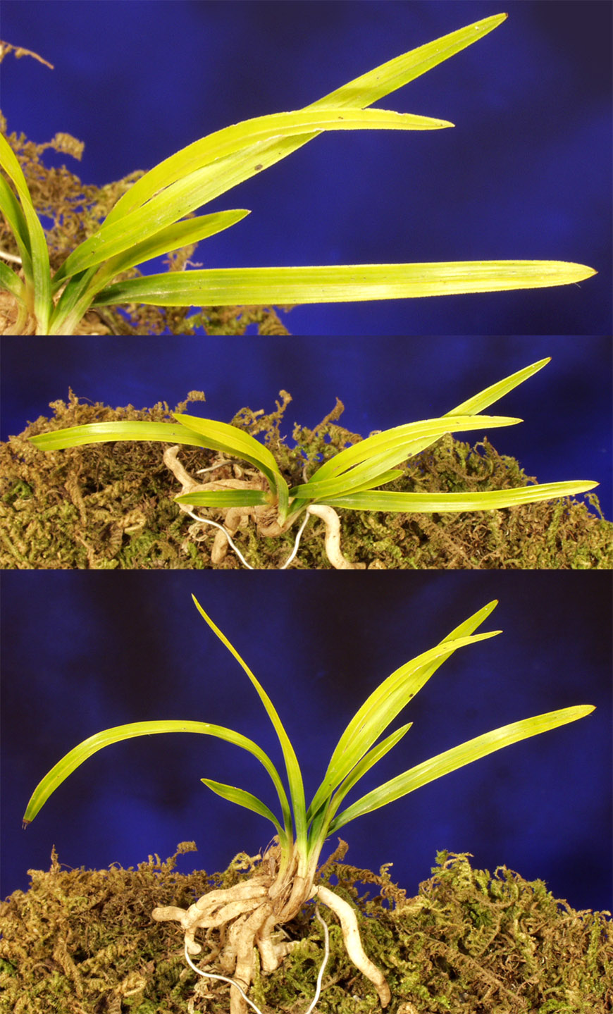 ������ ū������ �� �� �ֽ��ϴ�.