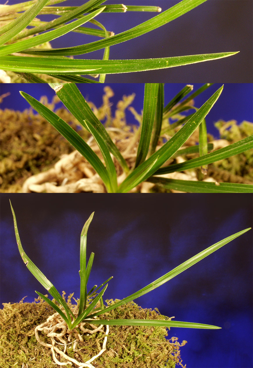 ������ ū������ �� �� �ֽ��ϴ�.