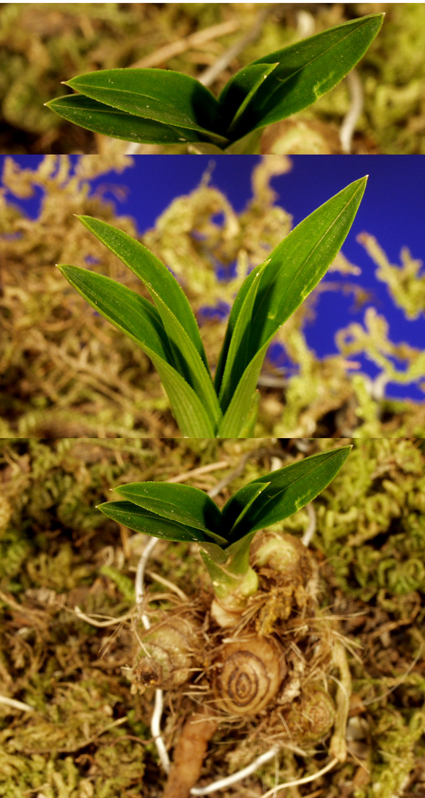 ������ ū������ �� �� �ֽ��ϴ�.