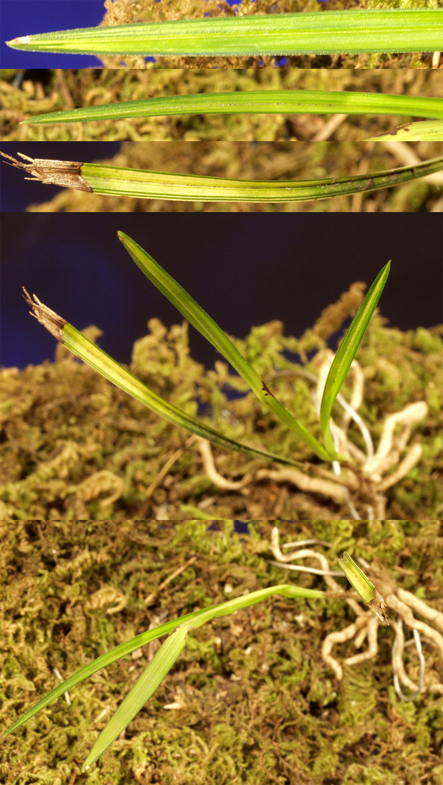 ������ ū������ �� �� �ֽ��ϴ�.