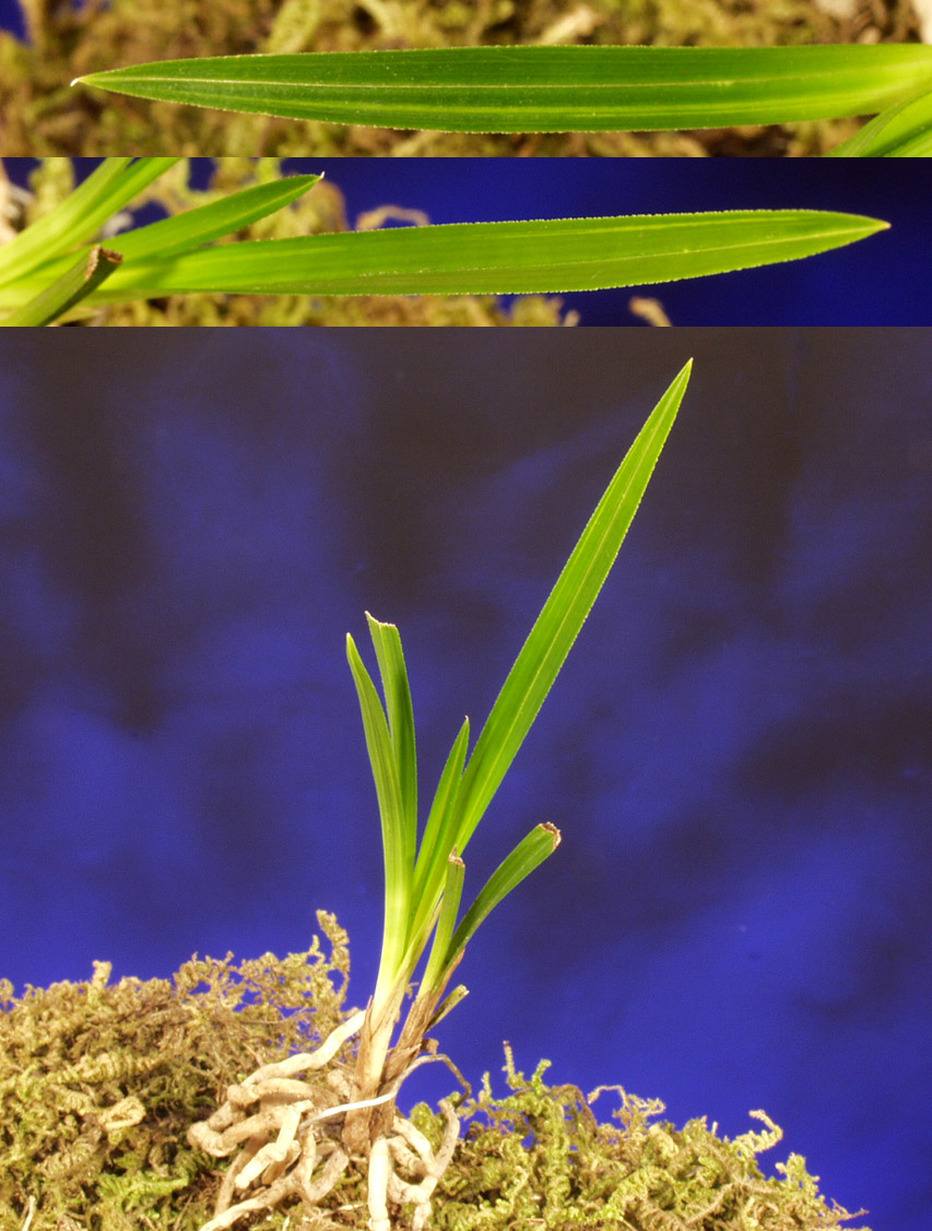 ������ ū������ �� �� �ֽ��ϴ�.