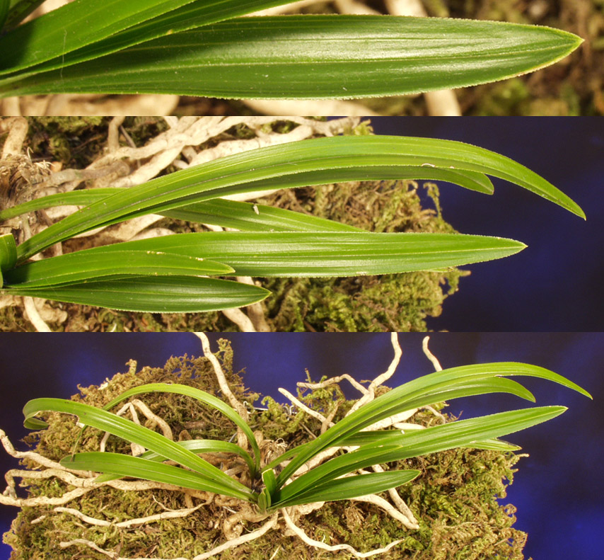 ������ ū������ �� �� �ֽ��ϴ�.