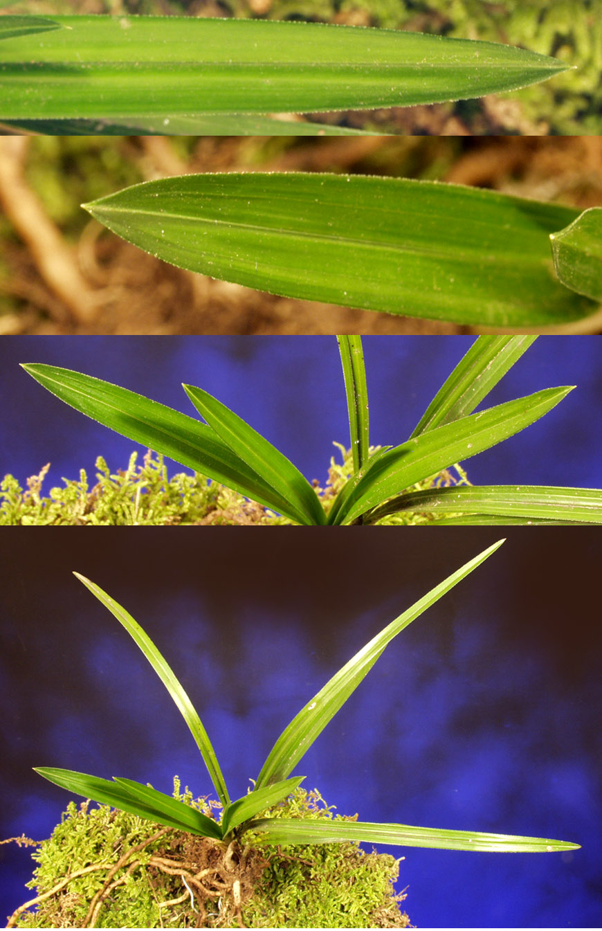 ������ ū������ �� �� �ֽ��ϴ�.