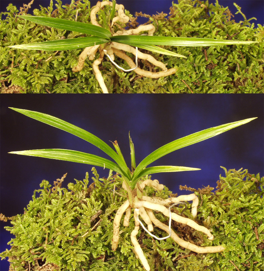 ������ ū������ �� �� �ֽ��ϴ�.