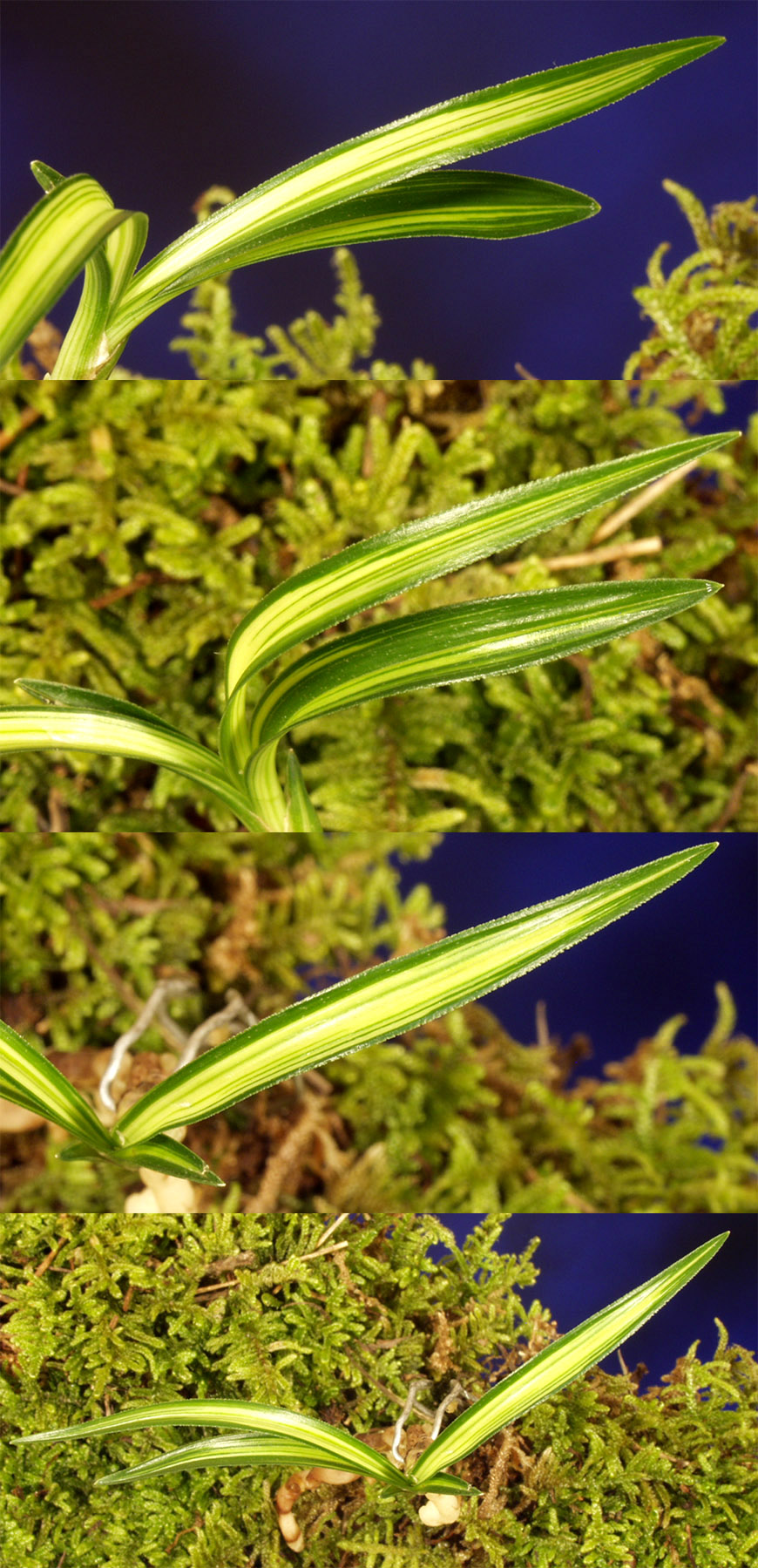 ������ ū������ �� �� �ֽ��ϴ�.