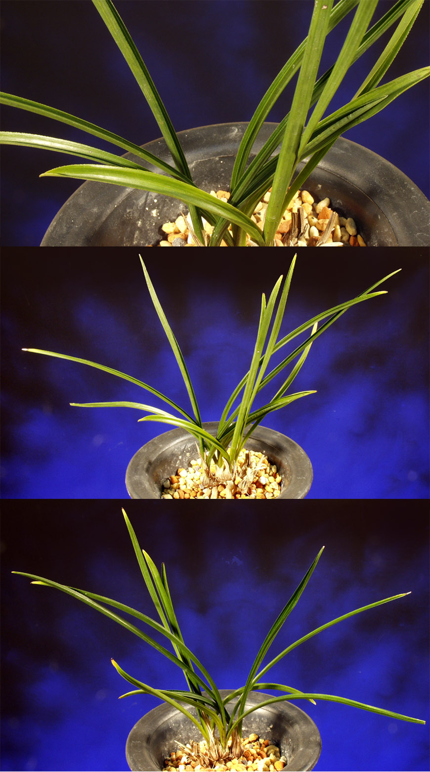 ������ ū������ �� �� �ֽ��ϴ�.