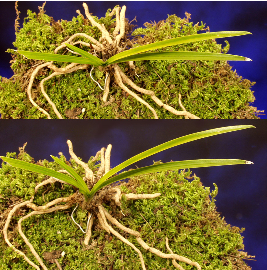 ������ ū������ �� �� �ֽ��ϴ�.