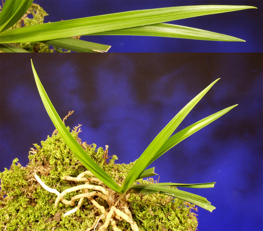 ������ ū������ �� �� �ֽ��ϴ�.