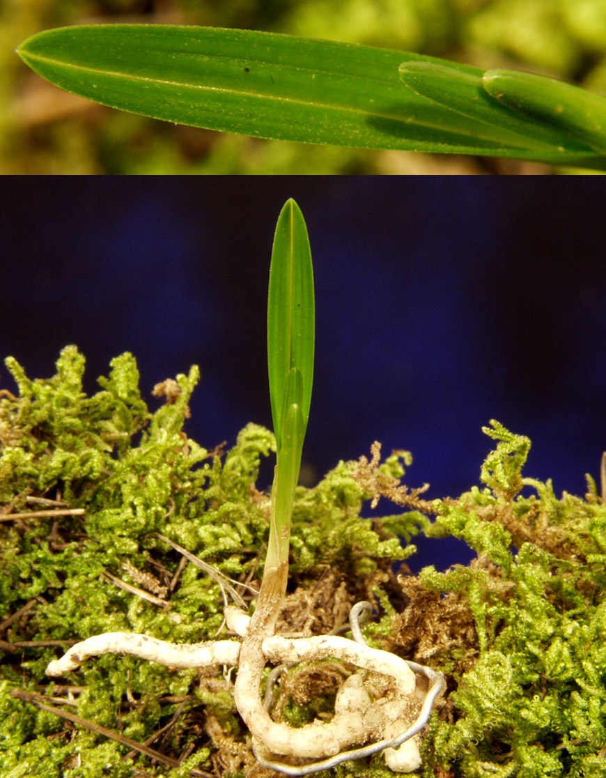 ������ ū������ �� �� �ֽ��ϴ�.