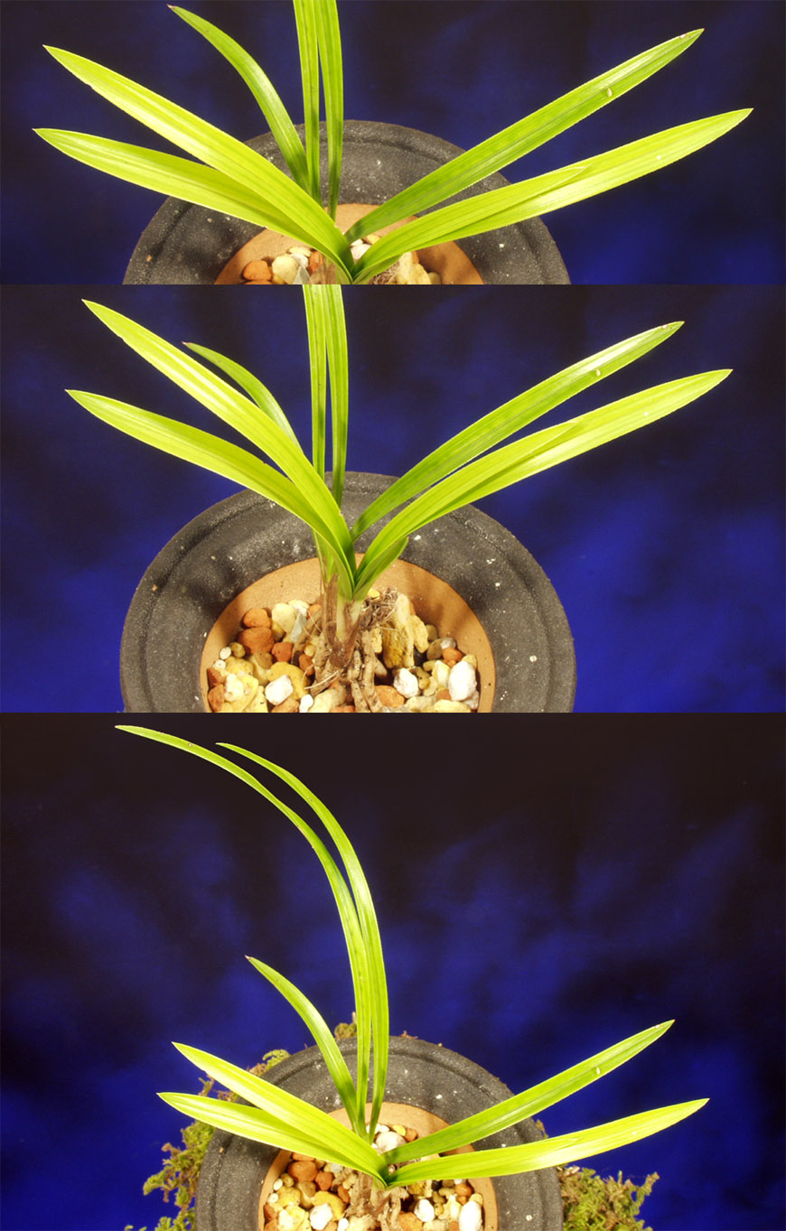 ������ ū������ �� �� �ֽ��ϴ�.