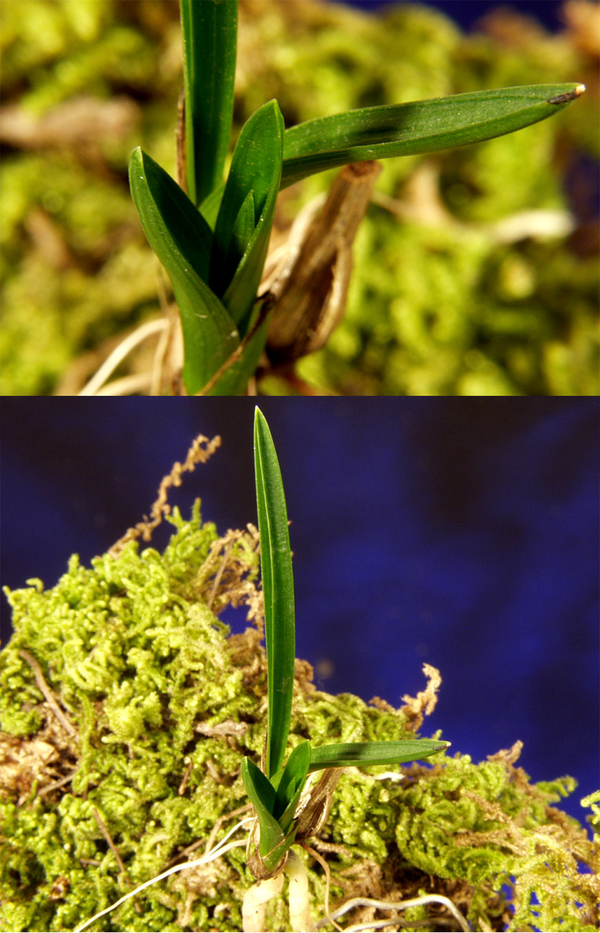 ������ ū������ �� �� �ֽ��ϴ�.