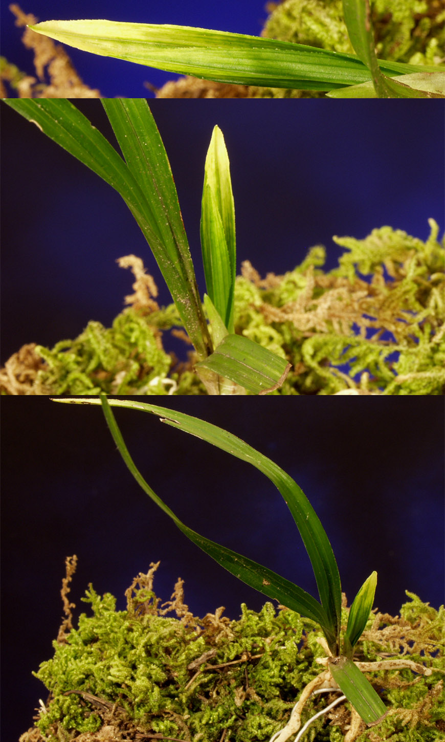 ������ ū������ �� �� �ֽ��ϴ�.