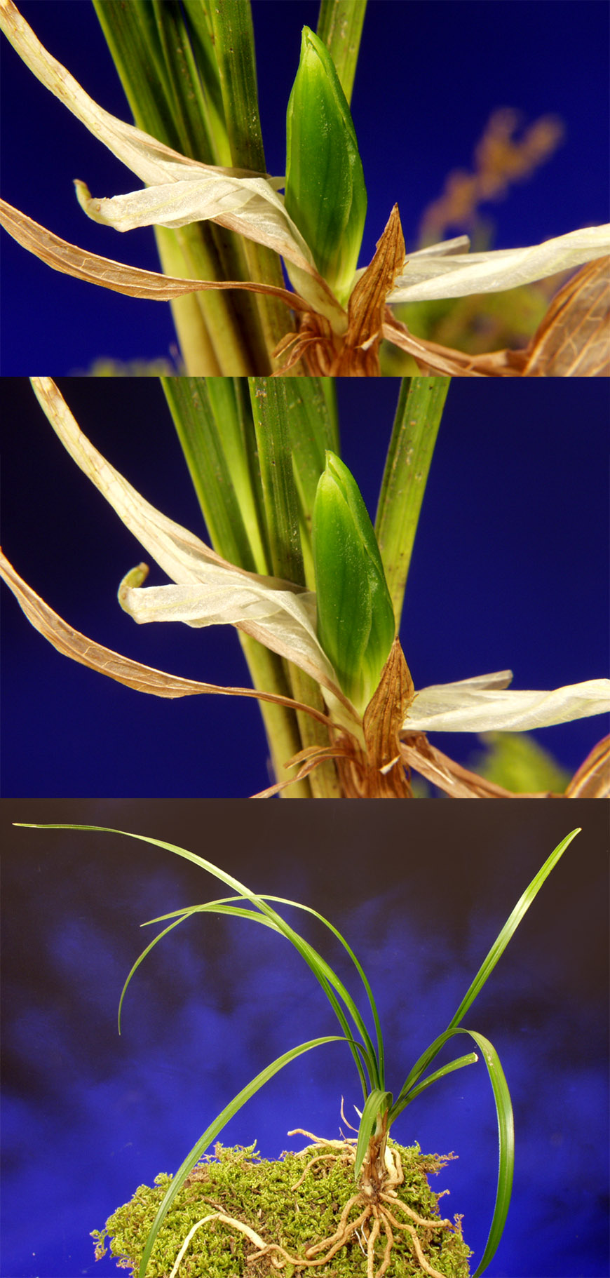 ������ ū������ �� �� �ֽ��ϴ�.