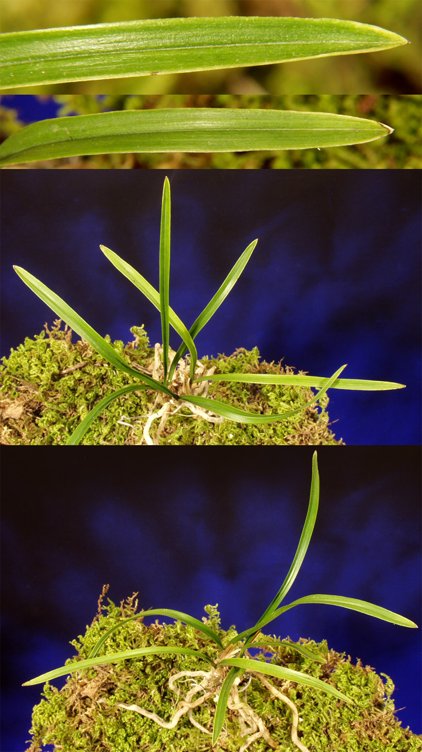 ������ ū������ �� �� �ֽ��ϴ�.