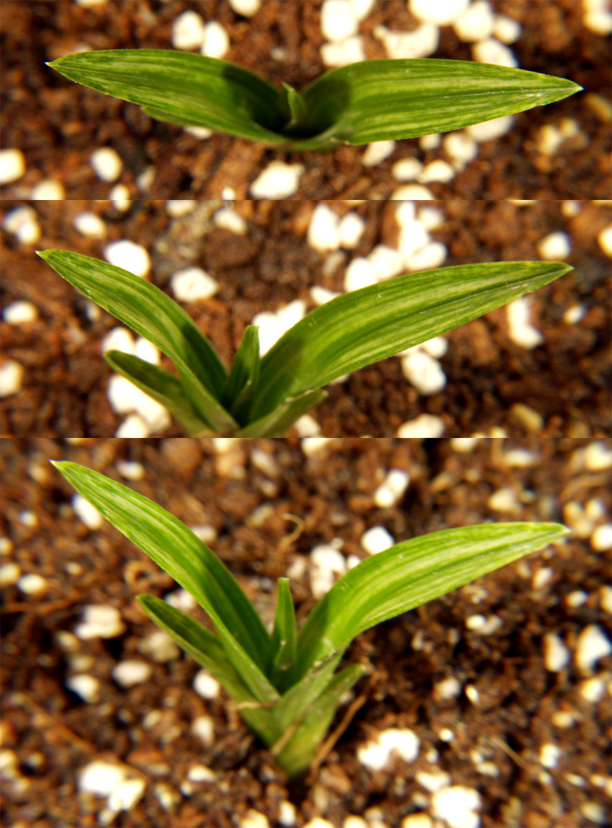 ������ ū������ �� �� �ֽ��ϴ�.