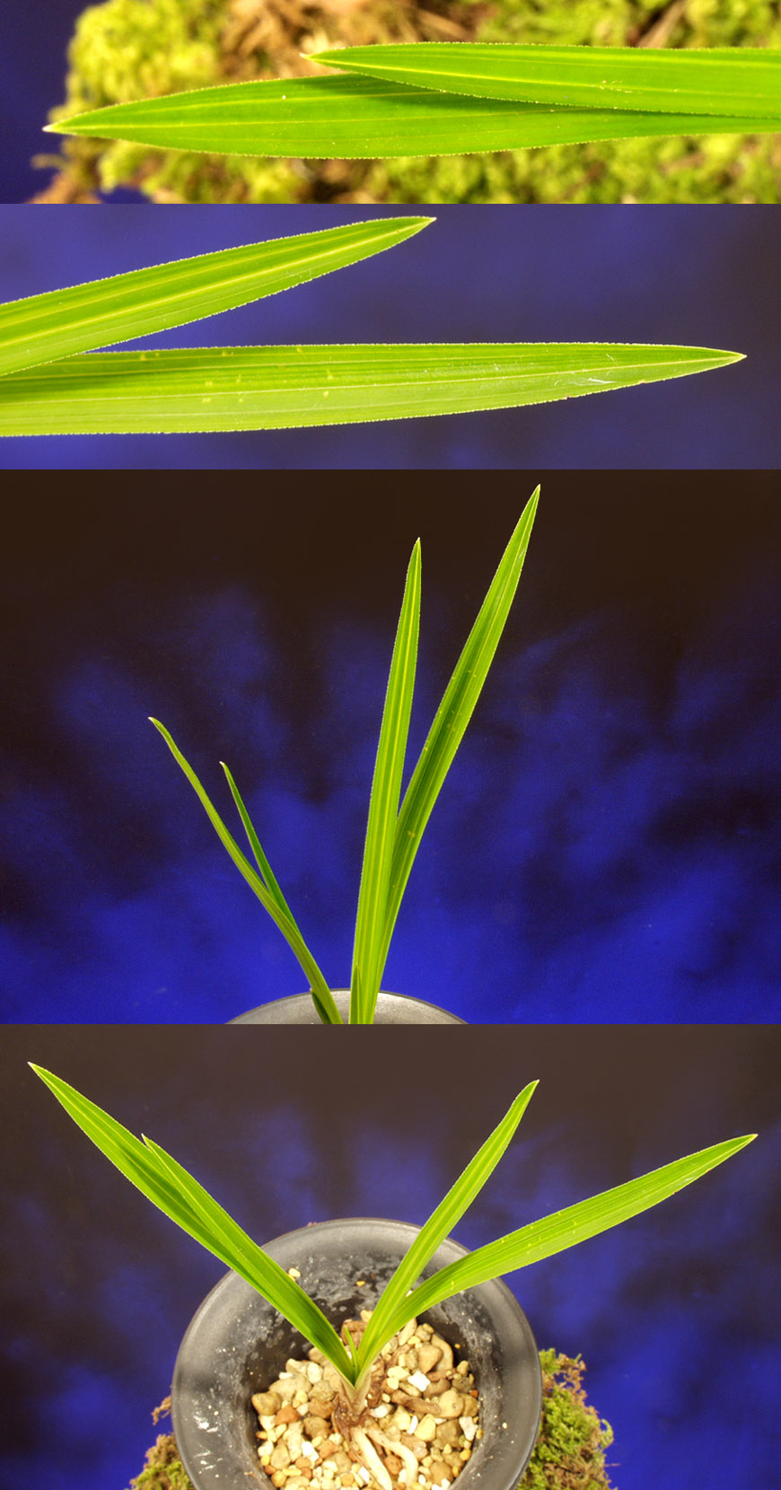 ������ ū������ �� �� �ֽ��ϴ�.