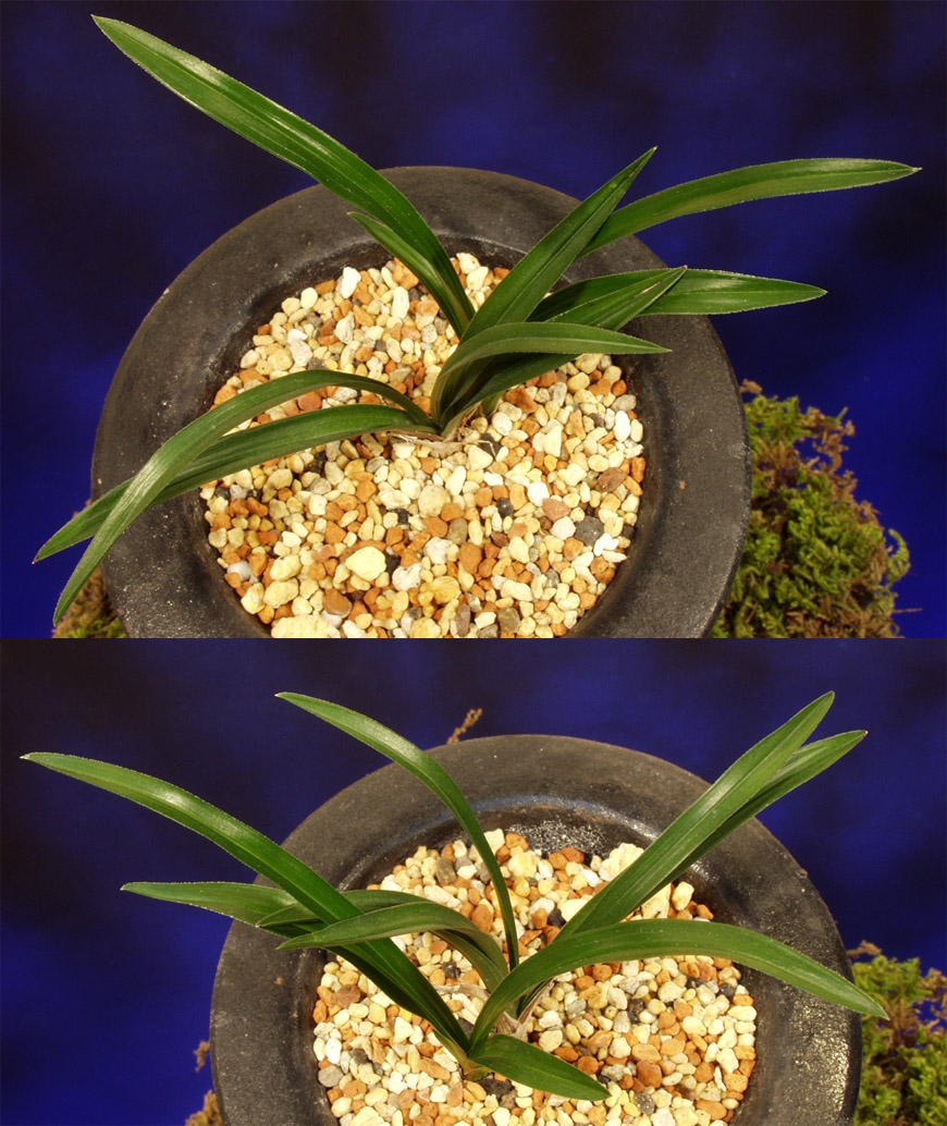 ������ ū������ �� �� �ֽ��ϴ�.