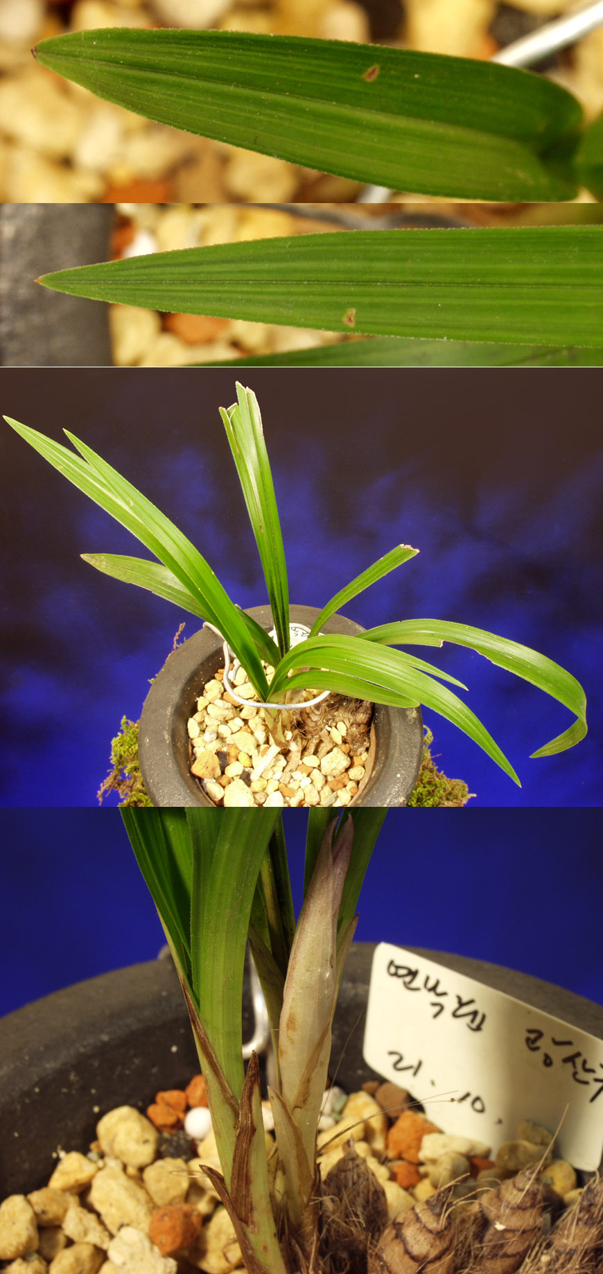 ������ ū������ �� �� �ֽ��ϴ�.