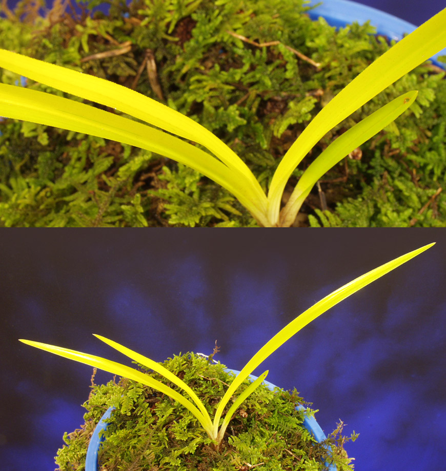 ������ ū������ �� �� �ֽ��ϴ�.