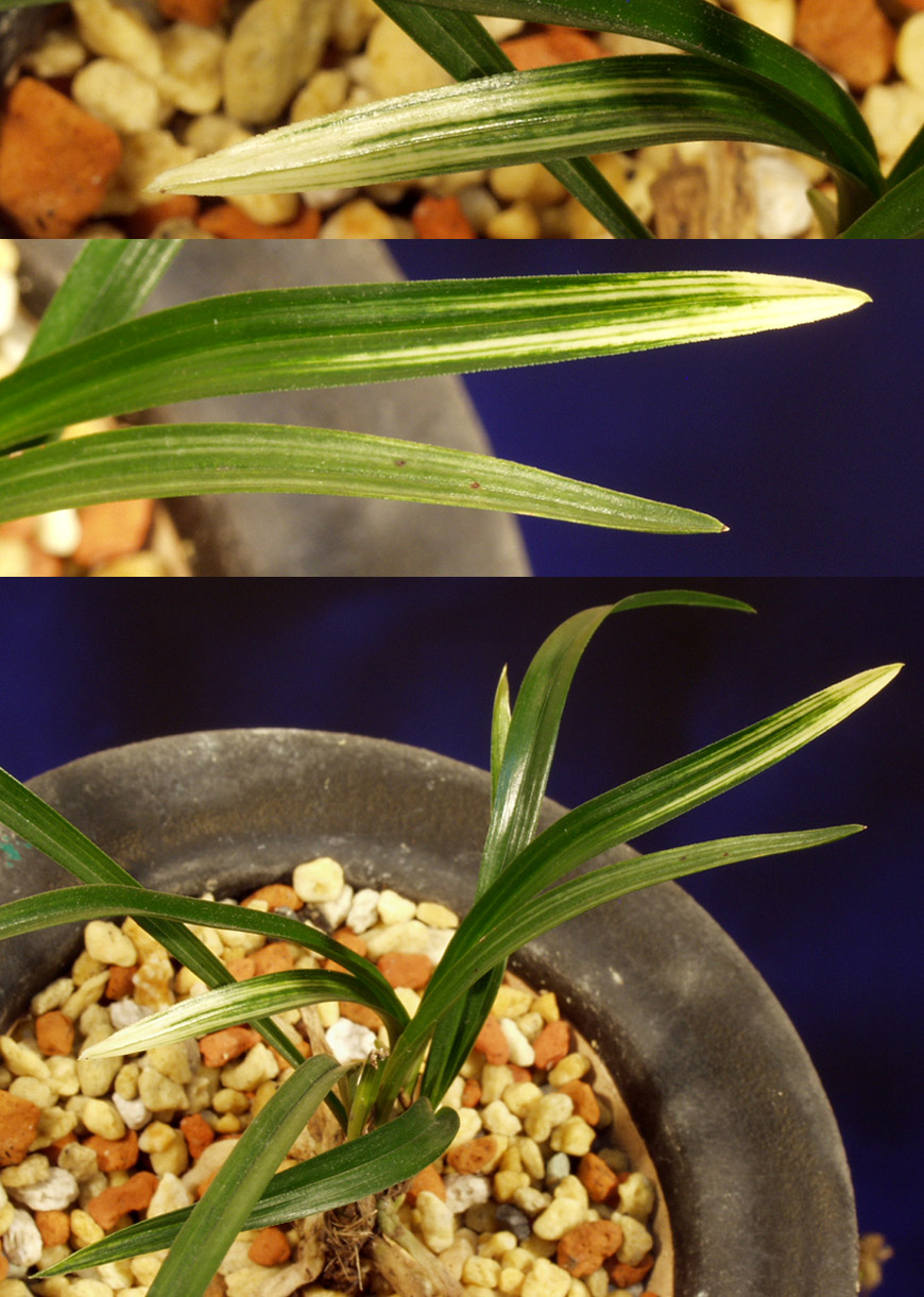 ������ ū������ �� �� �ֽ��ϴ�.