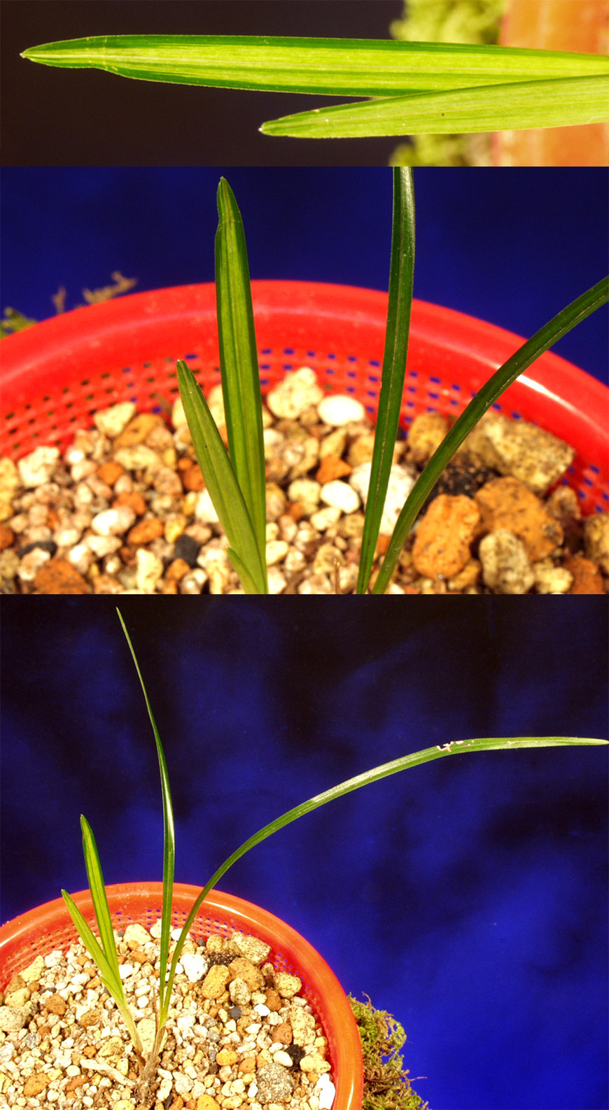 ������ ū������ �� �� �ֽ��ϴ�.