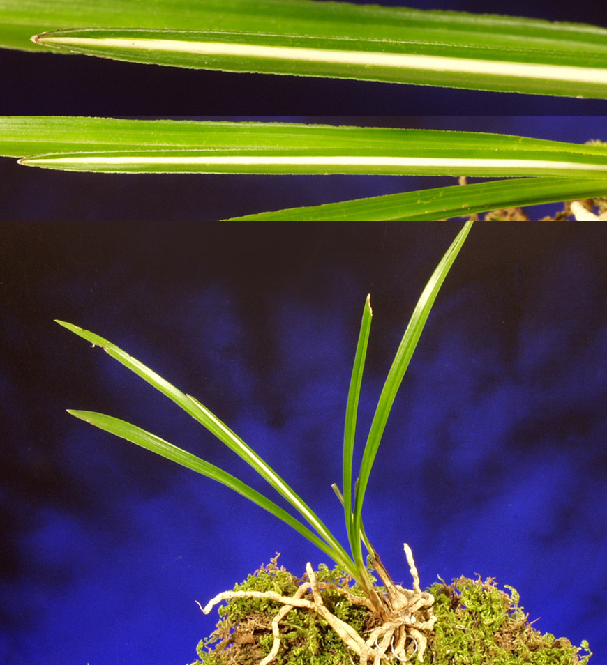 ������ ū������ �� �� �ֽ��ϴ�.