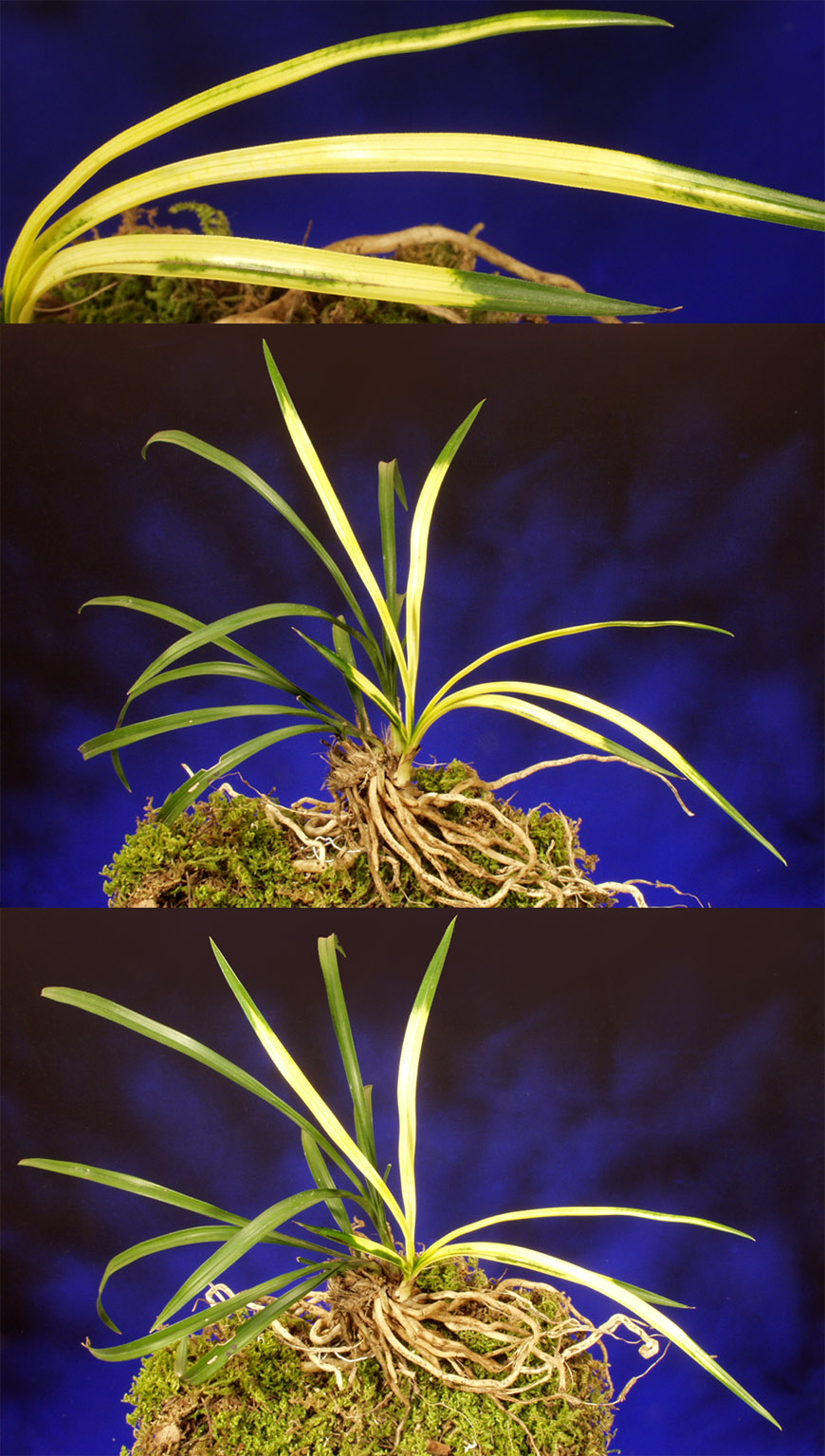 ������ ū������ �� �� �ֽ��ϴ�.