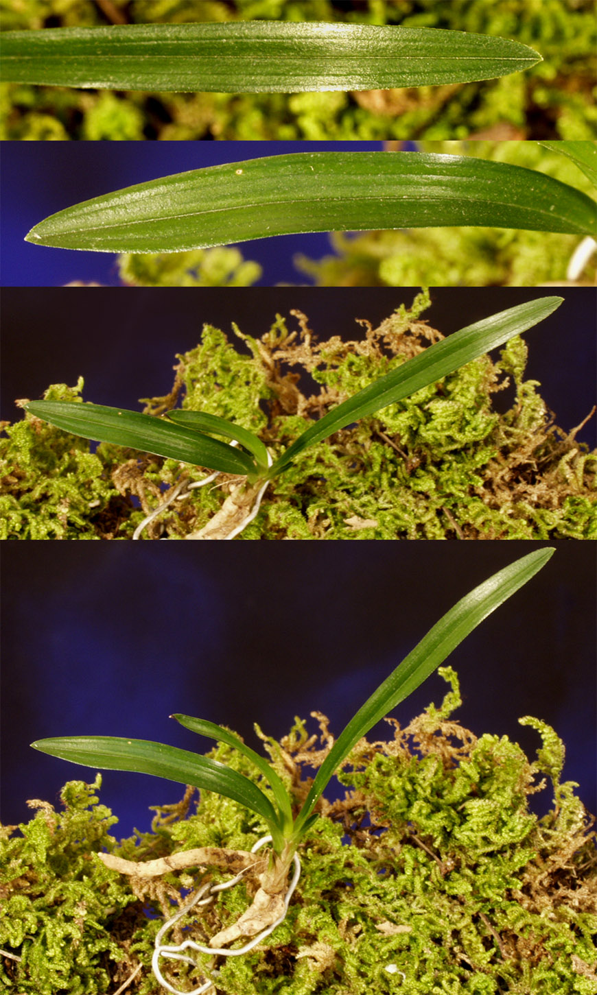 ������ ū������ �� �� �ֽ��ϴ�.