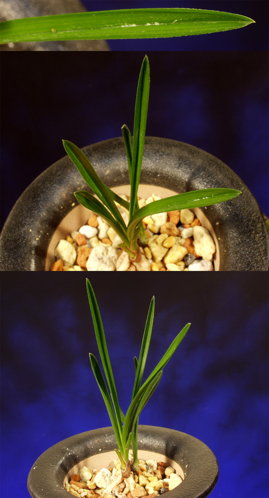 ������ ū������ �� �� �ֽ��ϴ�.