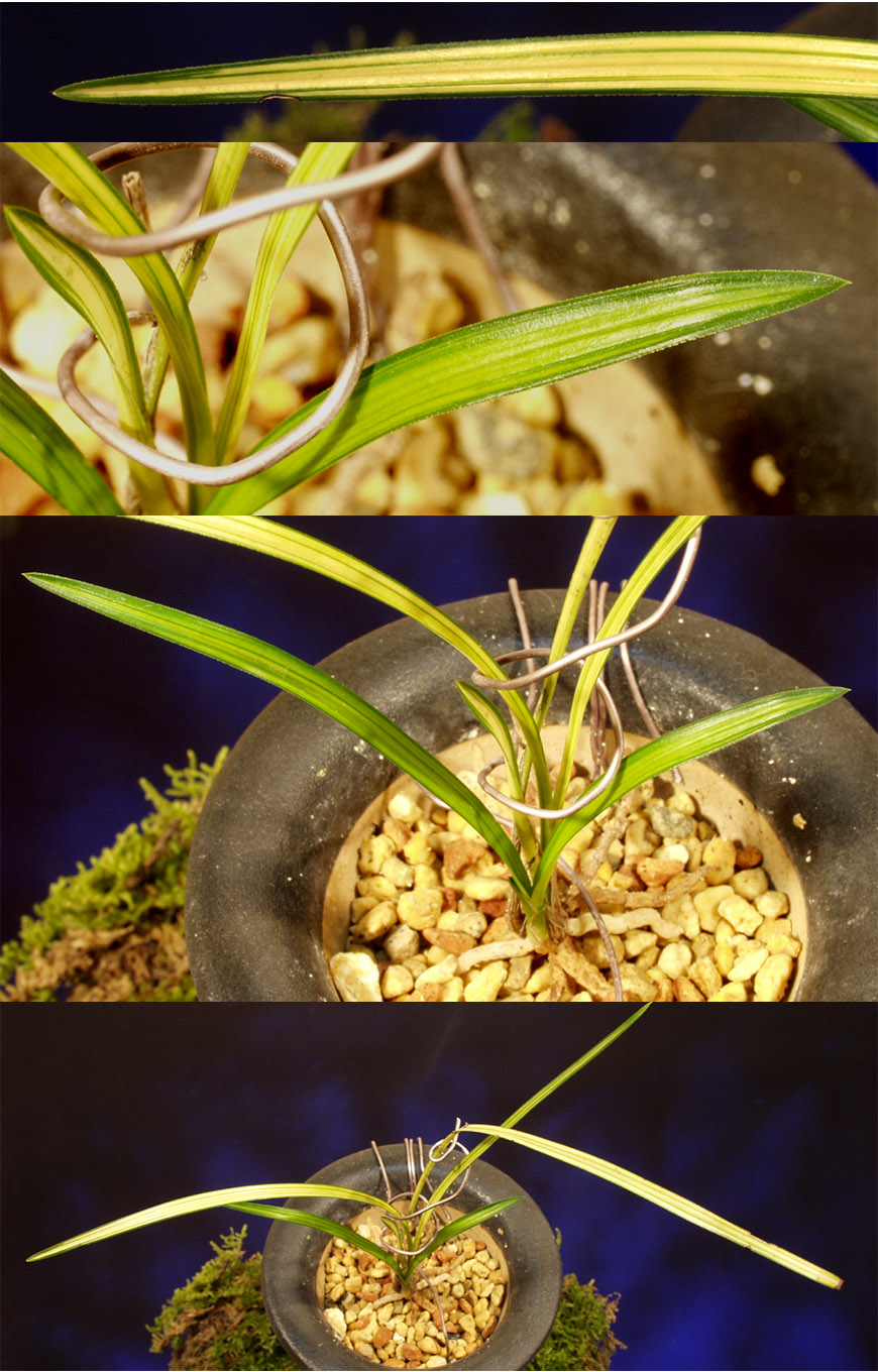 ������ ū������ �� �� �ֽ��ϴ�.