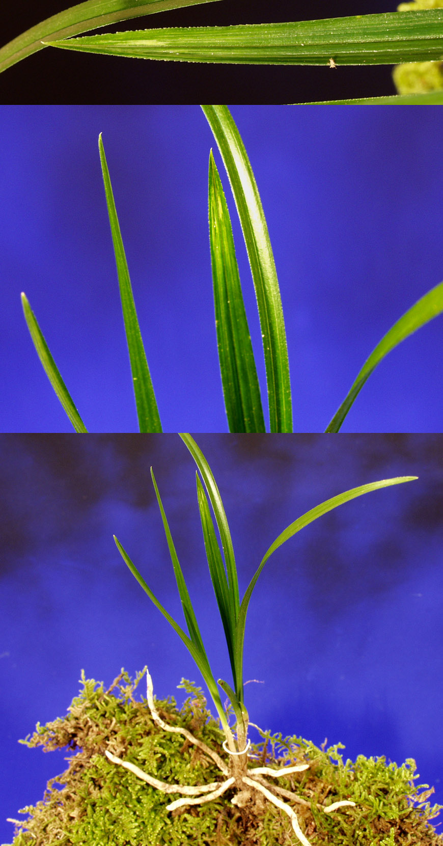 ������ ū������ �� �� �ֽ��ϴ�.