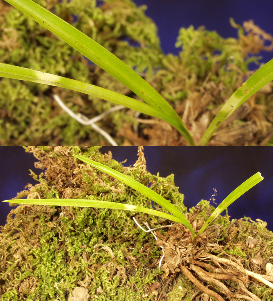 ������ ū������ �� �� �ֽ��ϴ�.