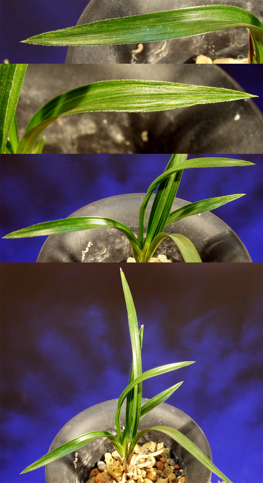 ������ ū������ �� �� �ֽ��ϴ�.