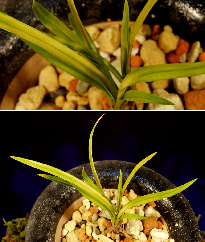 ������ ū������ �� �� �ֽ��ϴ�.