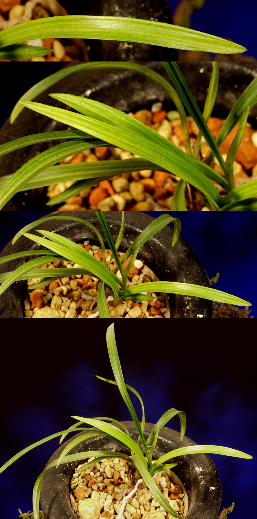 ������ ū������ �� �� �ֽ��ϴ�.