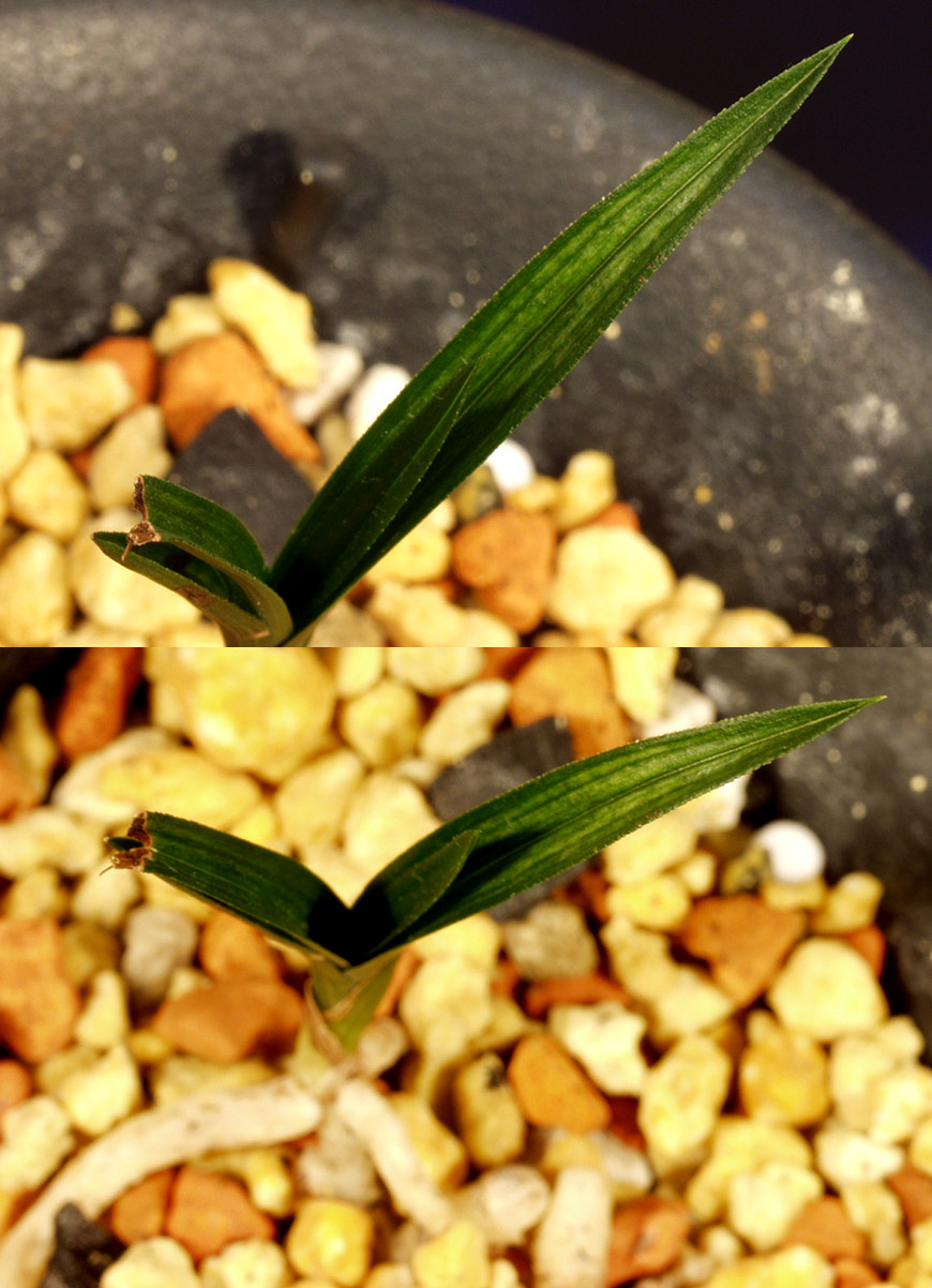 ������ ū������ �� �� �ֽ��ϴ�.