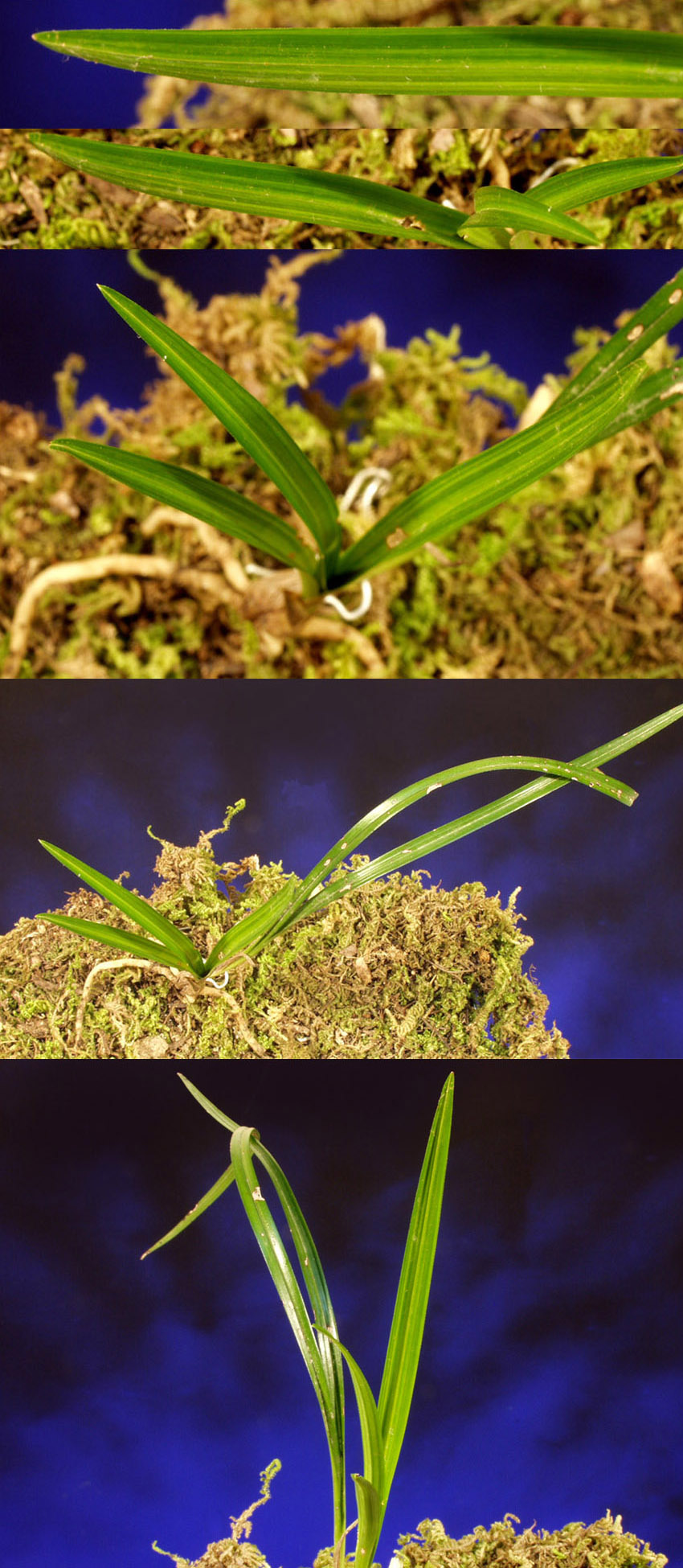 ������ ū������ �� �� �ֽ��ϴ�.