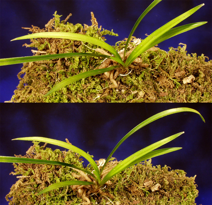 ������ ū������ �� �� �ֽ��ϴ�.