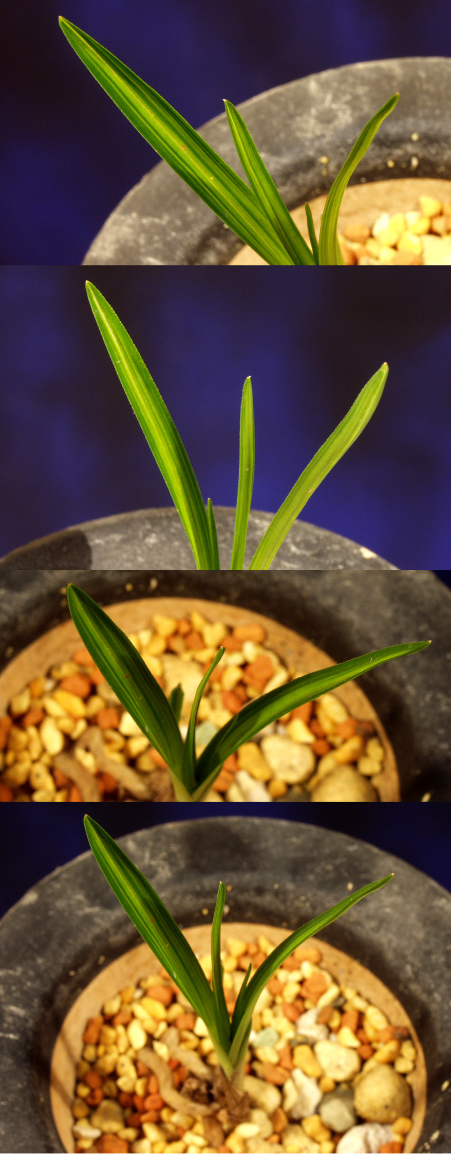 ������ ū������ �� �� �ֽ��ϴ�.