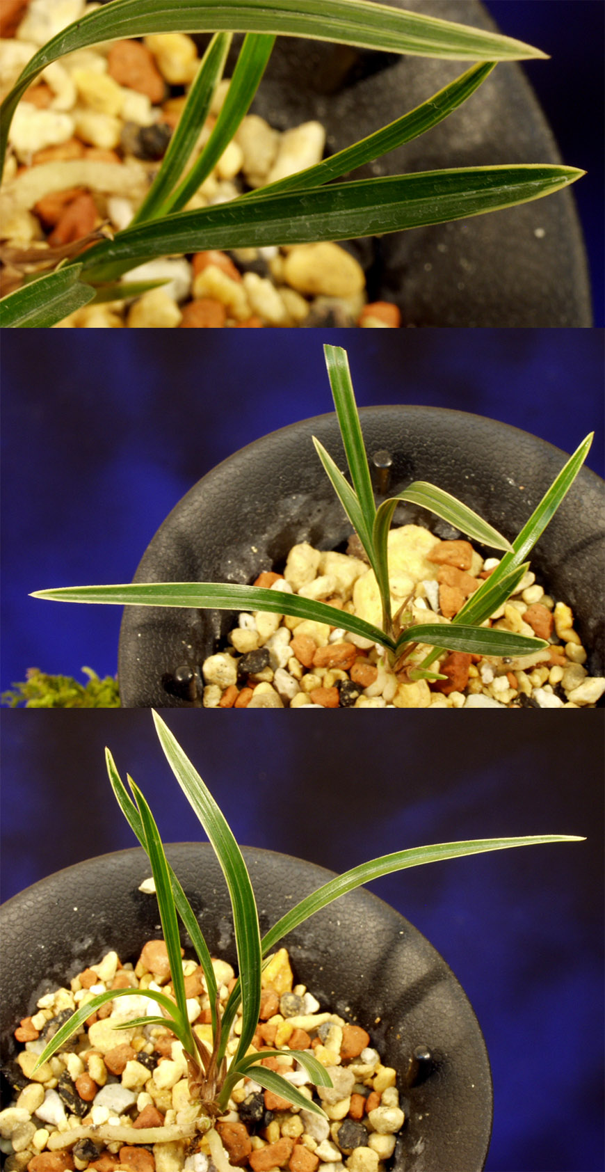 ������ ū������ �� �� �ֽ��ϴ�.