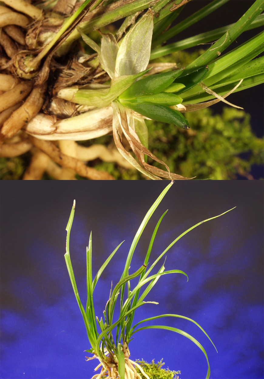 ������ ū������ �� �� �ֽ��ϴ�.