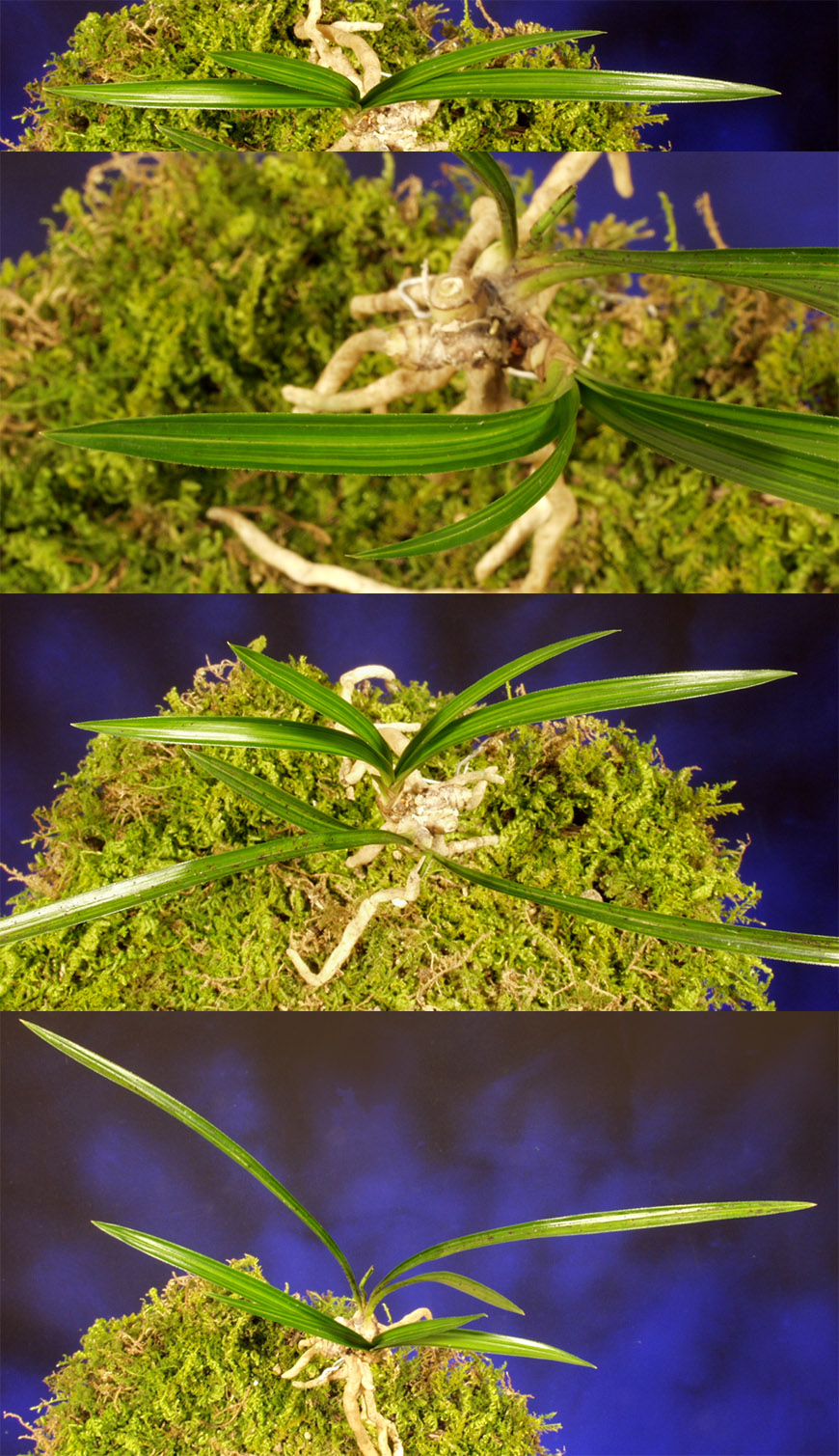 ������ ū������ �� �� �ֽ��ϴ�.