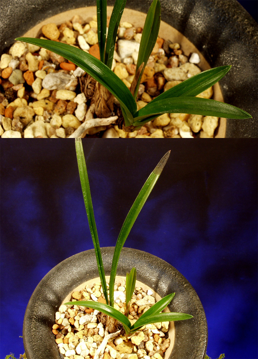 ������ ū������ �� �� �ֽ��ϴ�.