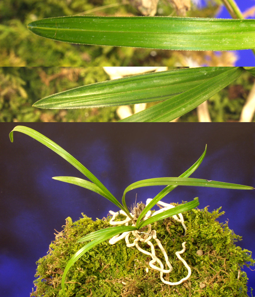 ������ ū������ �� �� �ֽ��ϴ�.