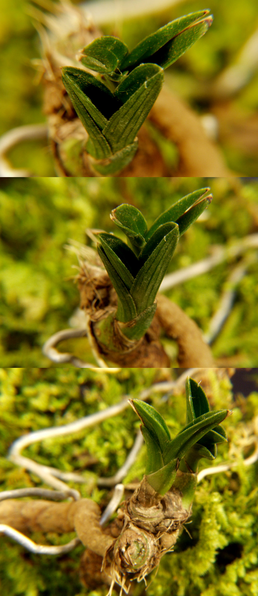 ������ ū������ �� �� �ֽ��ϴ�.