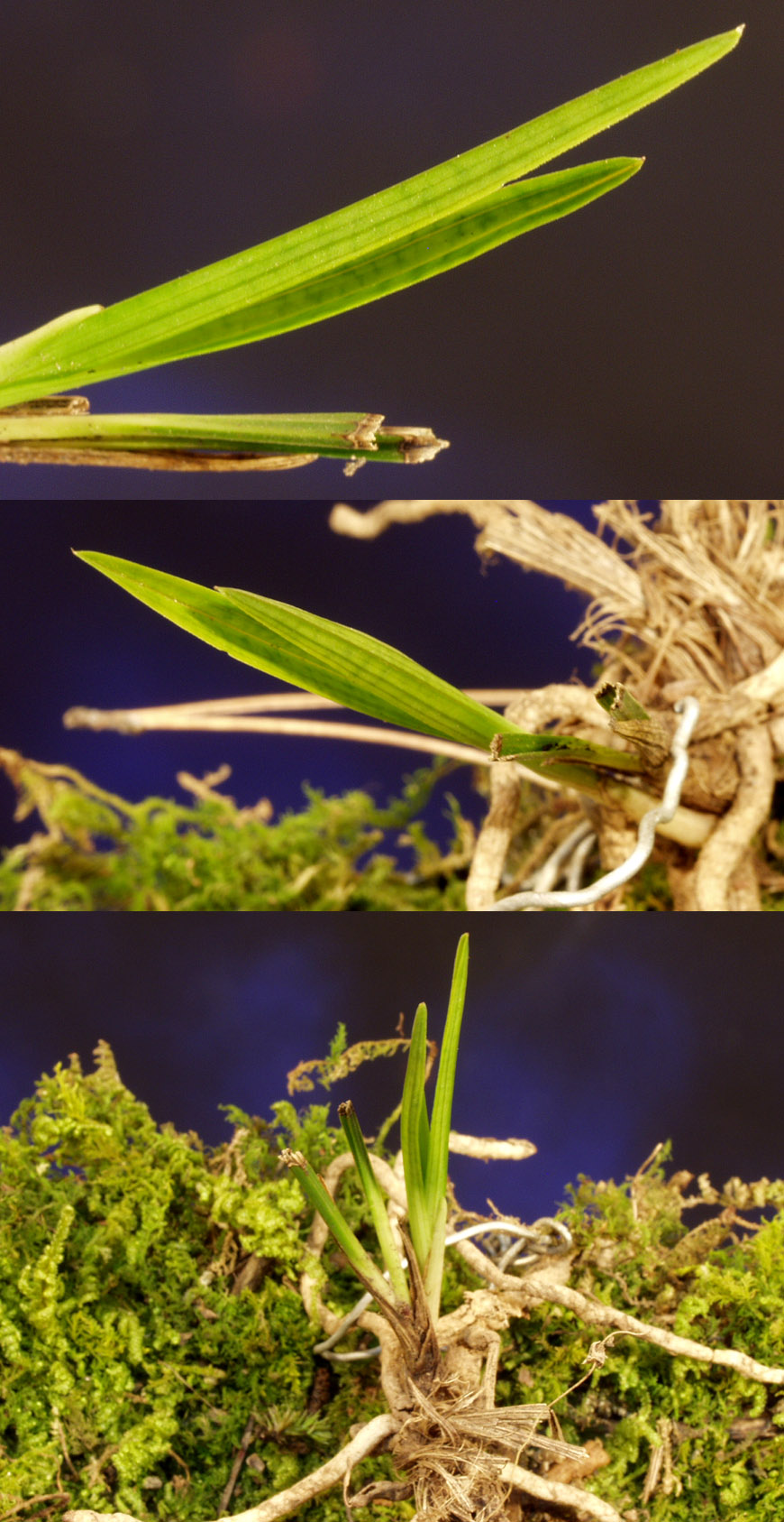 ������ ū������ �� �� �ֽ��ϴ�.