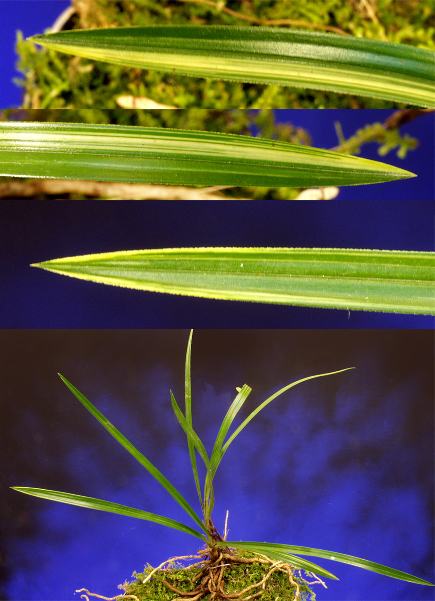 ������ ū������ �� �� �ֽ��ϴ�.