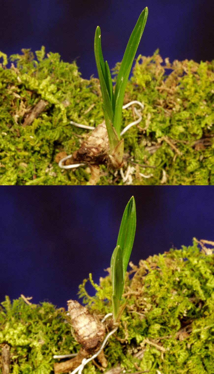 ������ ū������ �� �� �ֽ��ϴ�.