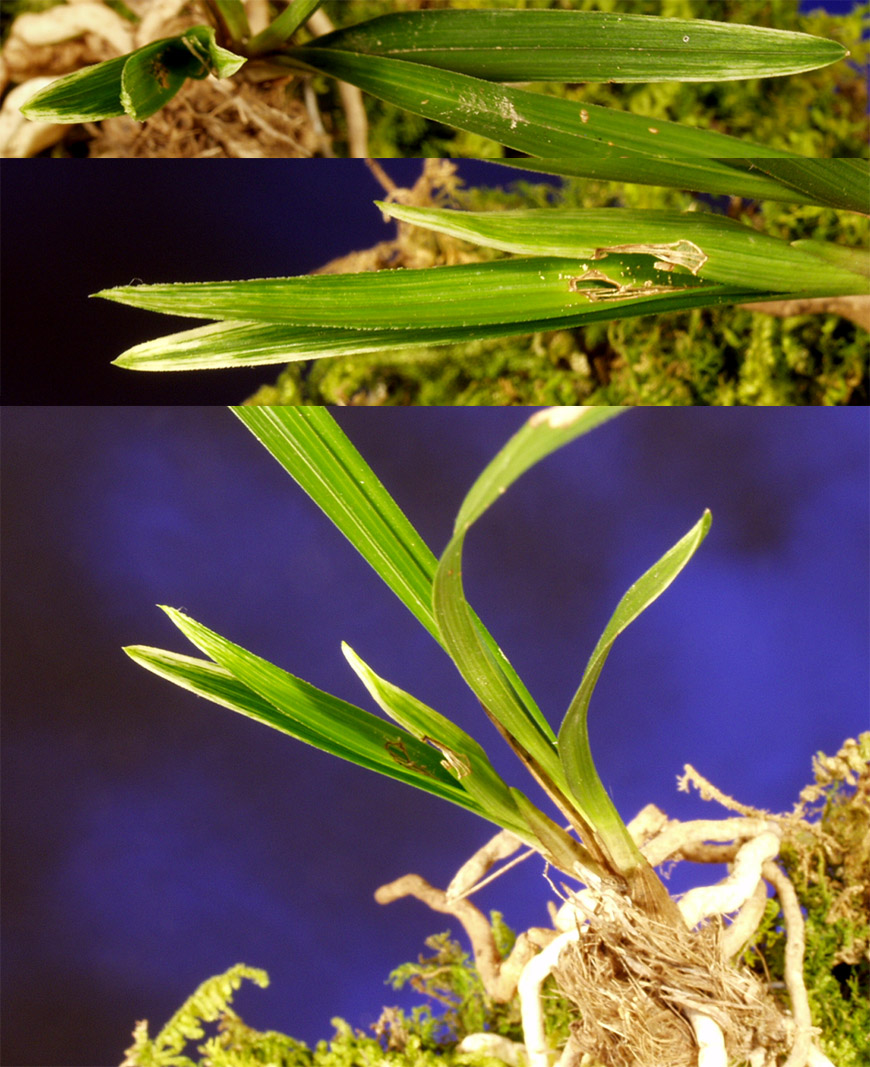 ������ ū������ �� �� �ֽ��ϴ�.